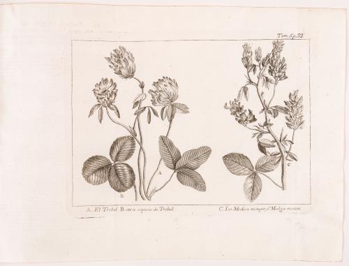  Pluche, Noël Antoine : Espectáculo de la naturaleza ó conversaciones a cerca de las particularidades de la historia natural, que han parecido más a propósito para excitar una curiosidad util y formarles la razón a los jóvenes lectores. Partes I-VIII