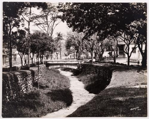 Rodríguez, Melitón : Fotografía de La Playa, Medellín
