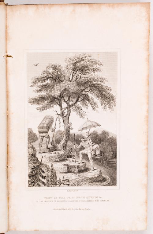 Hamilton, John Potter : Travels through the interior provinces of Columbia