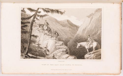 Hamilton, John Potter : Travels through the interior provinces of Columbia