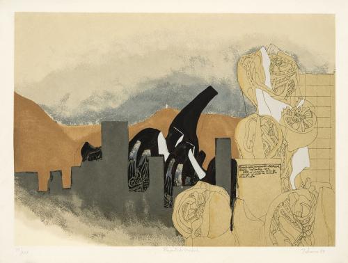 Gustavo Zalamea Argentina, 1951 - Brasil, 2011 : Proyecto u