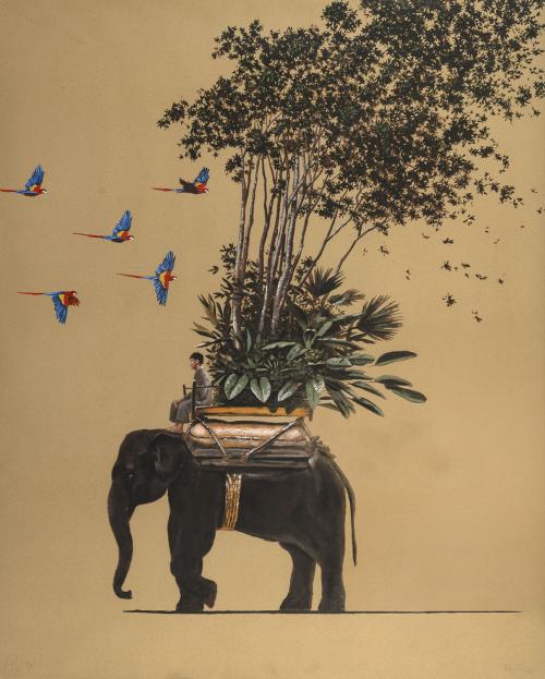Pedro RuízColombia, 1957 : Colombia en la India