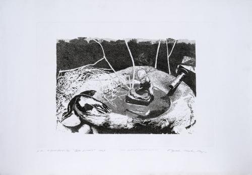 Miguel Angel Rojas  Colombia, 1946 : Caño limón