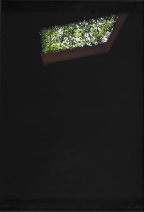 Alfredo Jaar Chile, 1956 : The last sky
