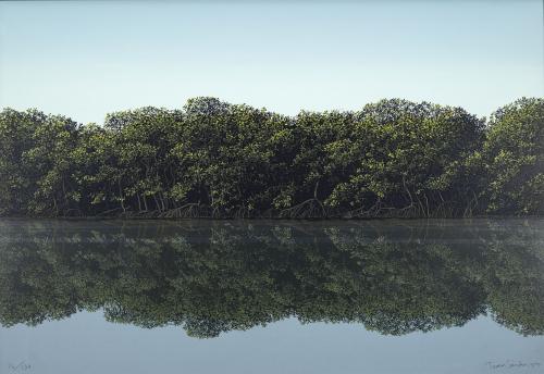 Tomás Sánchez Cuba, 1948 : [Manglar] de la carpeta Imagen e