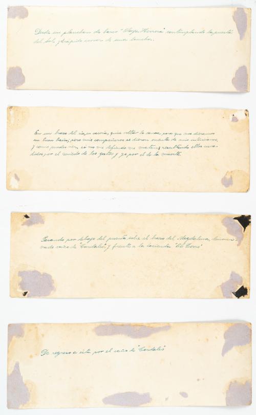 Colección de paisajes del Río Magdalena