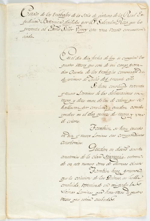 Rizo, Salvador : Documento de Salvador Rizo sobre el estado