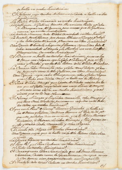 García, Diego : Manuscrito de Fray Diego García dirigido al