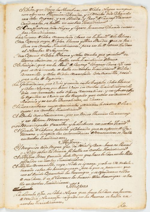 García, Diego : Manuscrito de Fray Diego García dirigido al