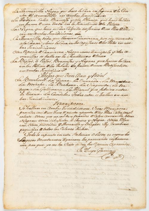 García, Diego : Manuscrito de Fray Diego García dirigido al