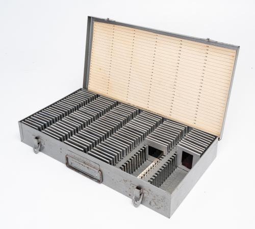 s.a. : Colección de diapositivas a color de desnudos artísticos