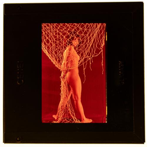 s.a. : Colección de diapositivas a color de desnudos artísticos