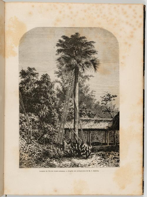 Charton, Édouard : Le tour du Monde. Nouveau journal des vo