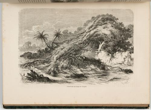 Charton, Édouard : Le tour du Monde. Nouveau journal des vo