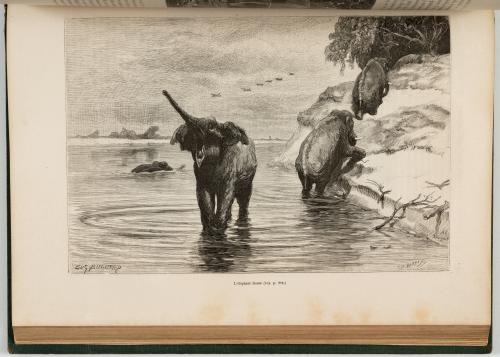 Charton, Édouard : Le tour du Monde. Nouveau journal des vo