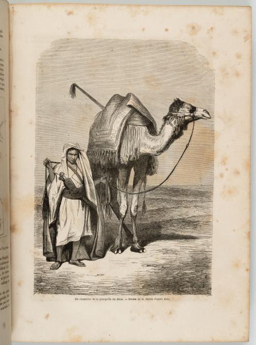 Charton, Édouard : Le tour du Monde. Nouveau journal des vo