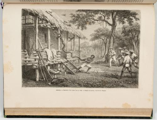 Charton, Édouard : Le tour du Monde. Nouveau journal des vo