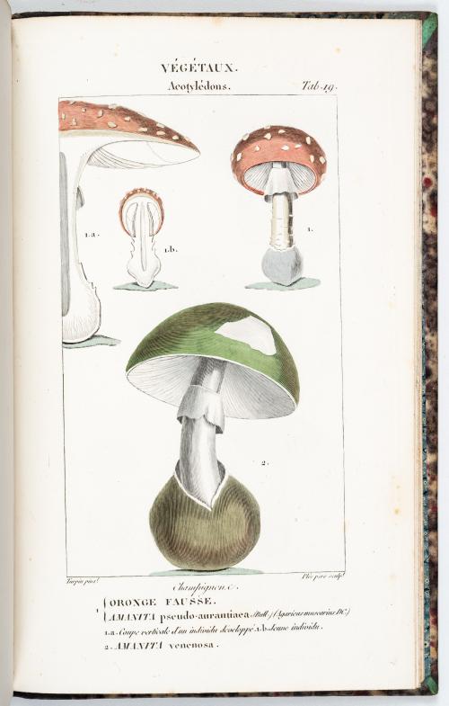 Orfila, Mateo José Buenaventura : Atlas del Traité de médec