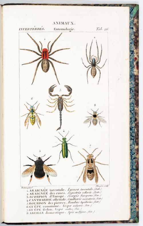 Orfila, Mateo José Buenaventura : Atlas del Traité de médec