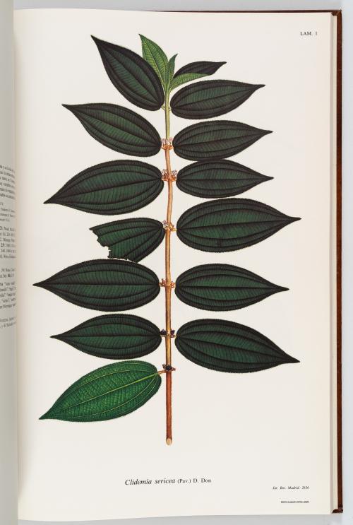 VV.AA. : Flora de la Real Expedición Botánica del Nuevo Rei