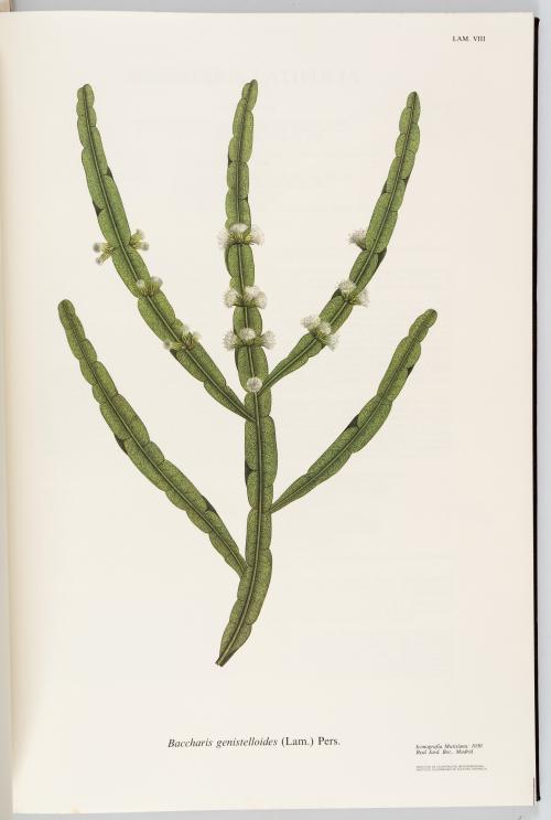 VV.AA. : Flora de la Real Expedición Botánica del Nuevo Rei