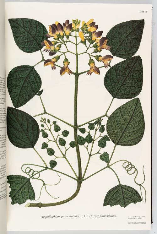 VV.AA. : Flora de la Real Expedición Botánica del Nuevo Rei