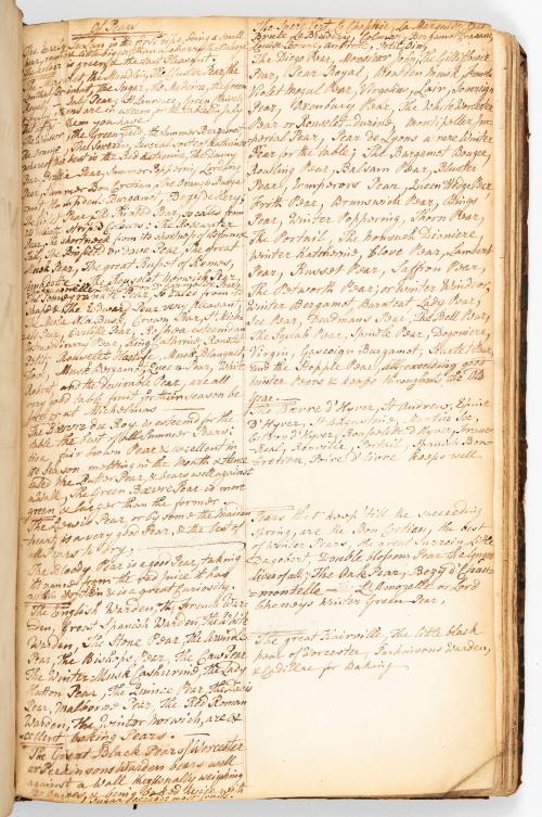 Evelyn, John : Sylva or a Discourse of Forest-Trees, and th