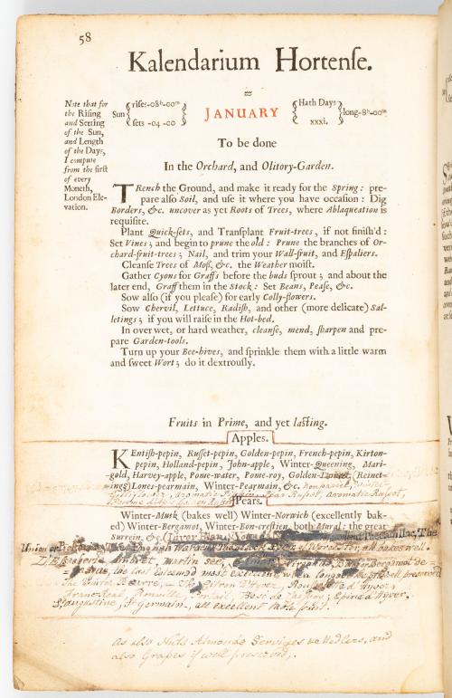 Evelyn, John : Sylva or a Discourse of Forest-Trees, and th