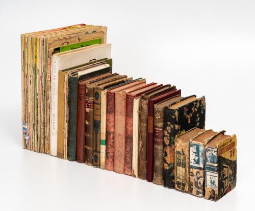 Caja de libros de literatura, caricaturas, textos infantile