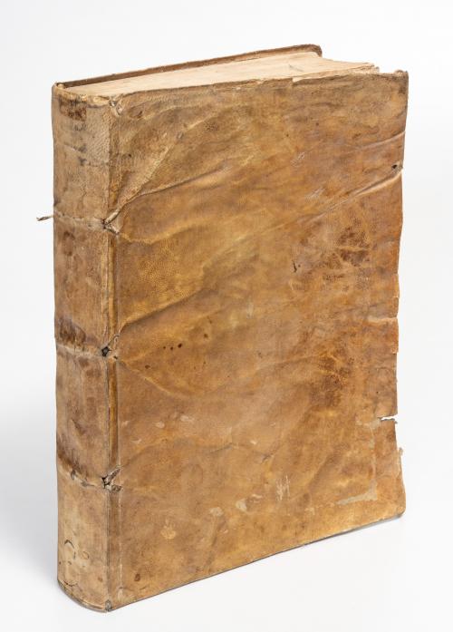 Selectarum disputationum ex universa theologia scholastica