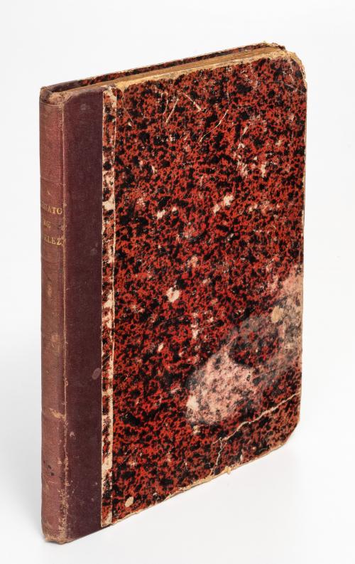 Alegato que Fernando Vélez, apoderado del gobierno, present