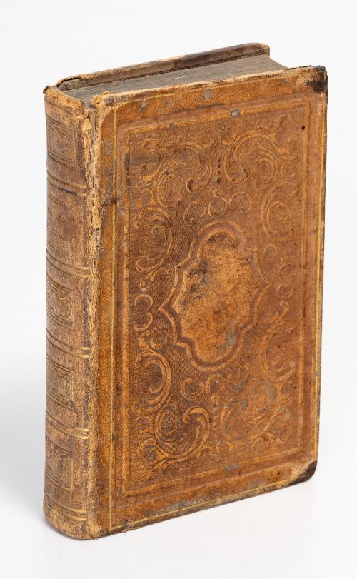 Tratado de los sofismas políticos