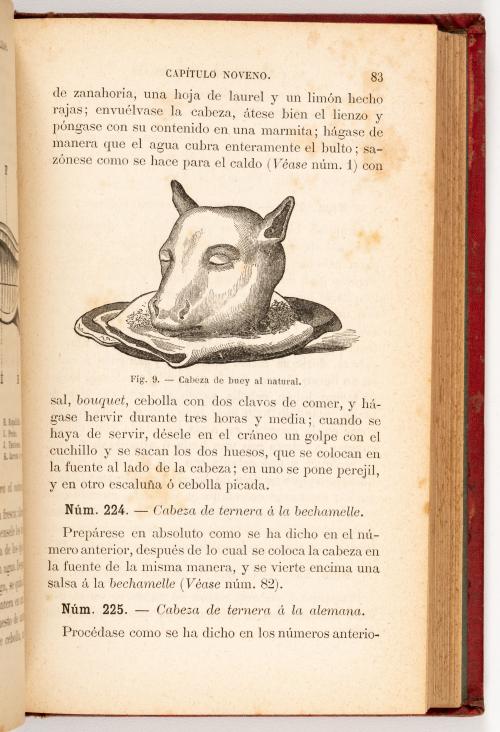 Colección de biblioteca de utilidad práctica: cocina y hoga
