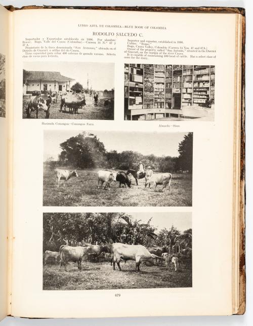 Posada Callejas, Jorge : Libro azul de Colombia. Bosquejos 