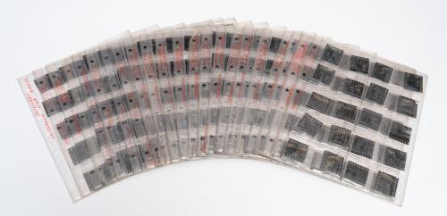 Archivo fotográfico Fernando Botero