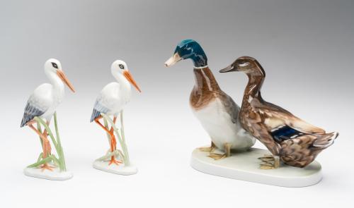 Porcelanas de aves 