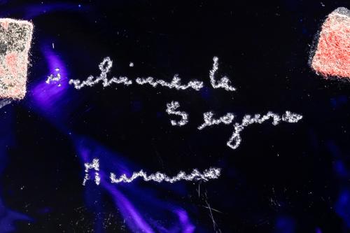 Florero y cabeza de caballo