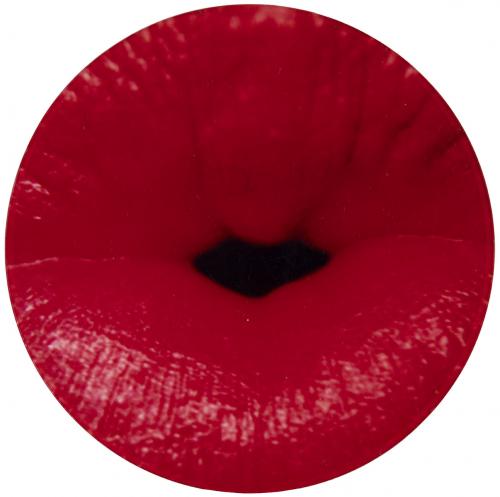 Ginger glow, Sheer champagne, Viva violet, China Lacquier y