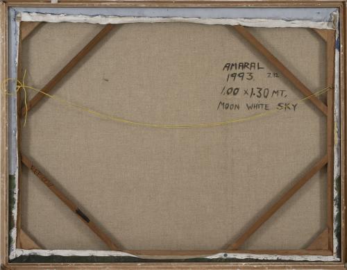 Moon white sky / Cielo blanco de luna