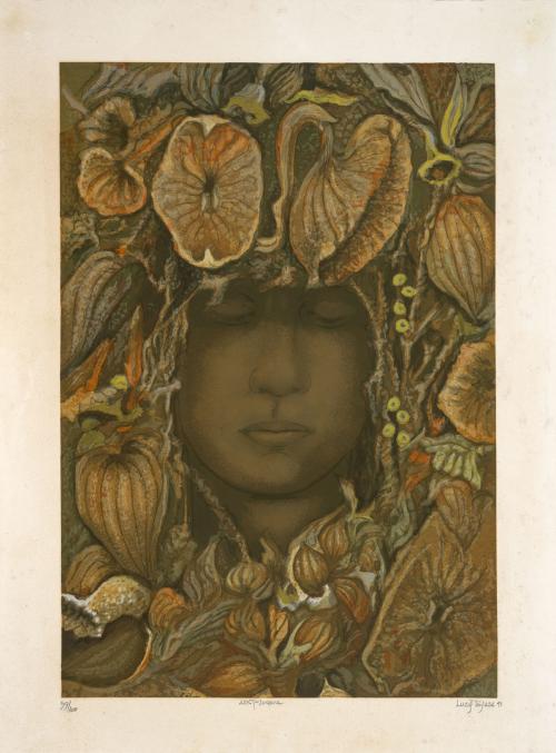 Lucy Tejada Colombia, 1920 - 2011 : Aristoloquia