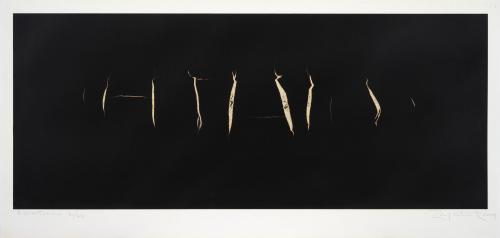 Hugo ZapataColombia, 1945 - 2025 : Escrituras