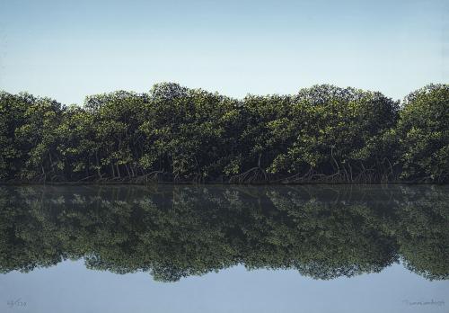 Tomás Sánchez Cuba, 1948 : [Manglar] de la carpeta Imagen