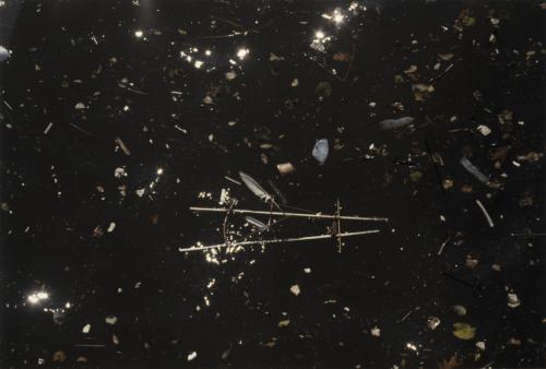 Cecilia VicuñaChile, 1948  : Galaxy of Litter