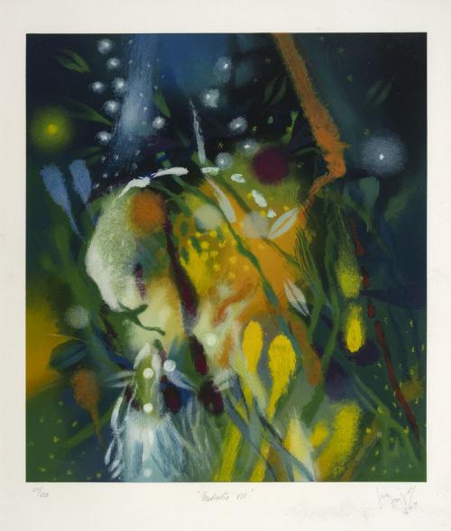 Carlos JacanamijoyColombia, 1964 : Mediodía VII