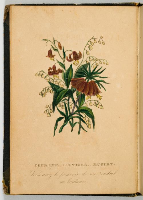 [4 vol.] El lenguaje de las flores y el de las frutas con a