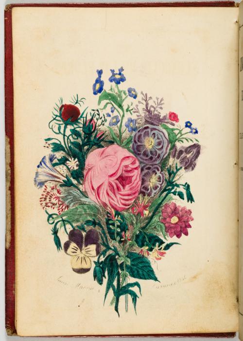 [4 vol.] El lenguaje de las flores y el de las frutas con a