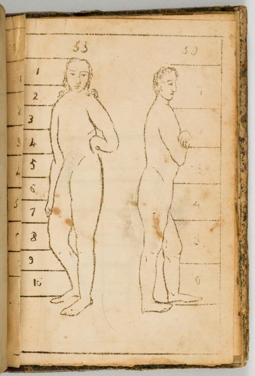 Tavera, Juan de Dios : Elementos de dibujos lineal, sombras