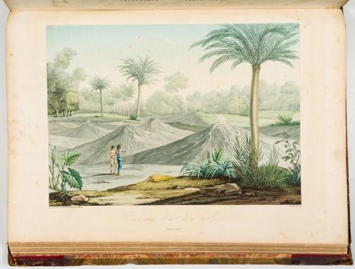  Humboldt, Alexander Von; Bonpland, Aimé  : [Con el Atlas 