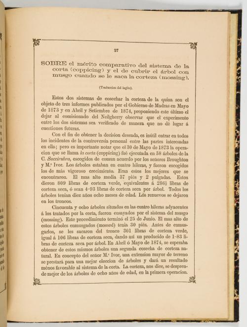 Lorenzana, Máxima : Cultivo de la quina