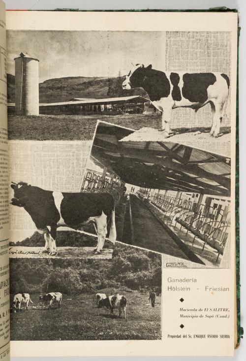 La vida rural, Revista mensual ilustrada de agricultura, ga